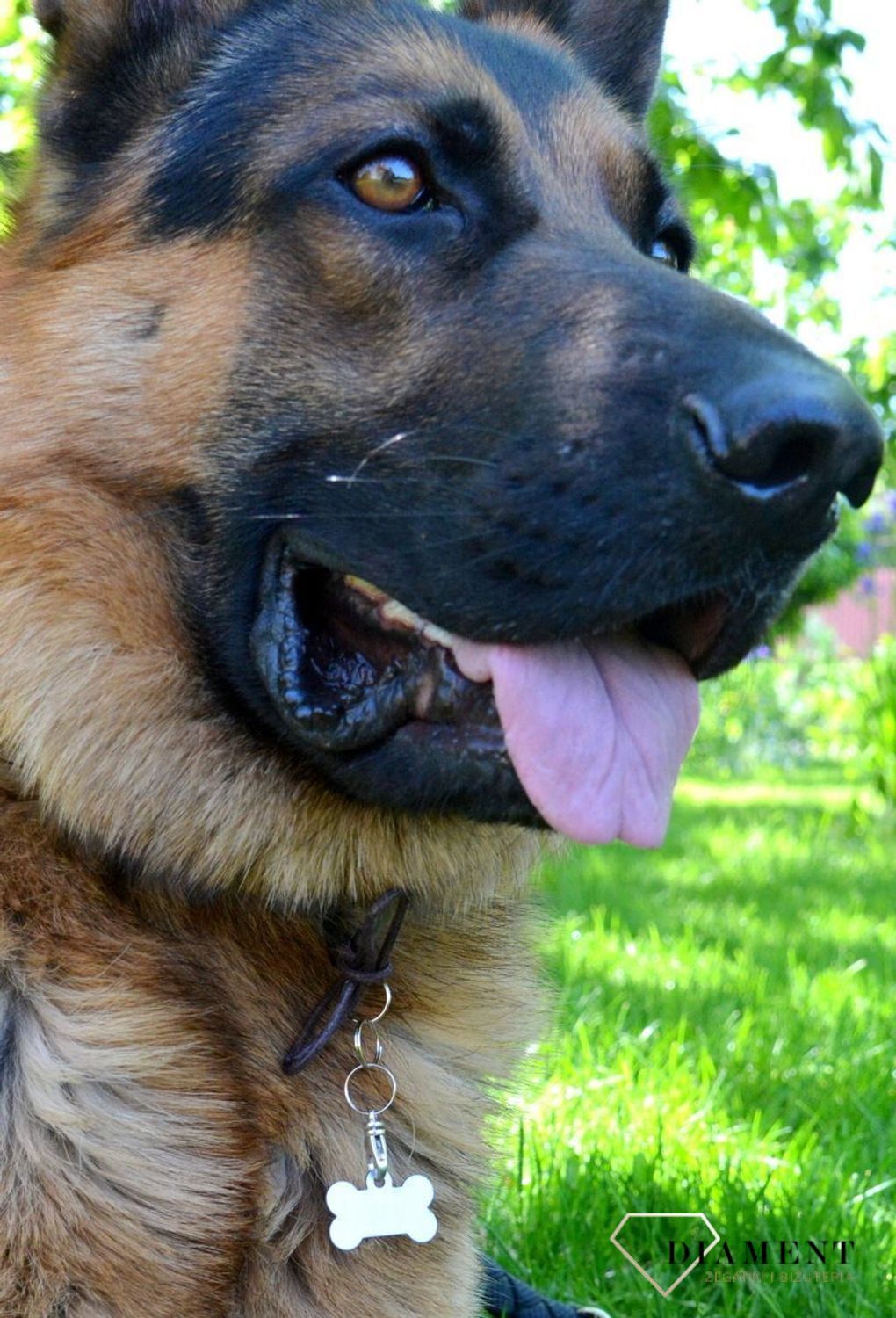 Blaszka dla pupila kość 3,2 cm z miejscem na grawer Kość silver M. Blaszka w formie adresówki, identyfikatora dla psa. Blaszka z miejscem na grawer. Na adresówce możemy wygrawerować np. imię psa i nr telefonu do właściciela.jpg